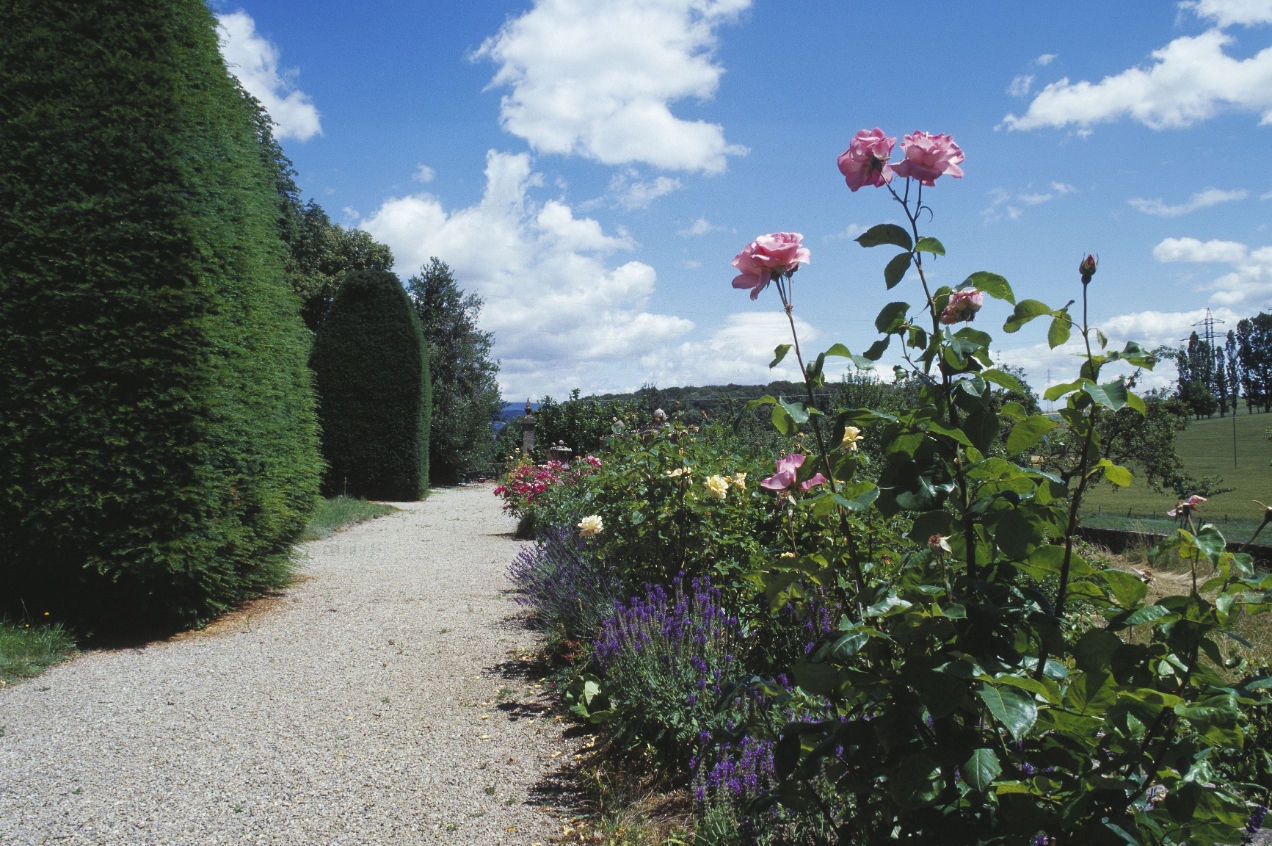 Château Souaillon